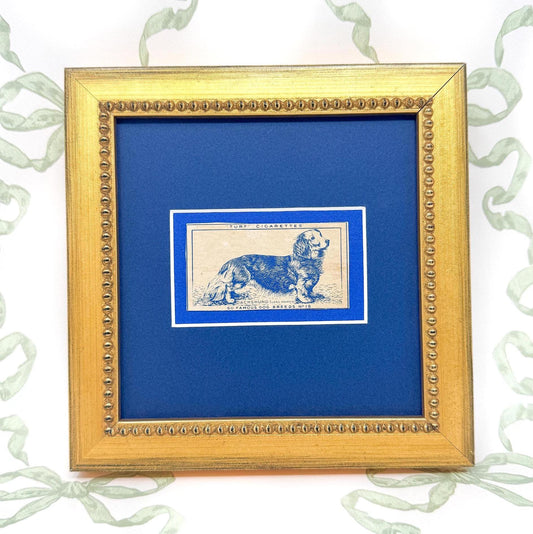 Framed Dog Antique Cigarette Card c. 1952, Long-Haired Dachshund
