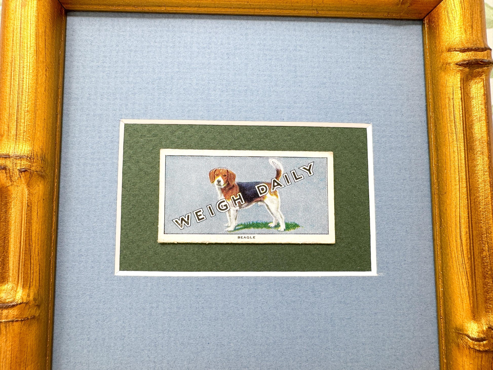 Framed Dog Antique Cigarette Card, Beagle