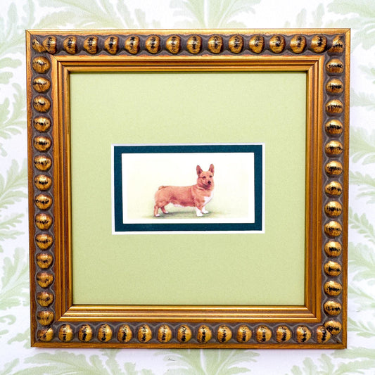 Framed Antique Dog Cigarette Card, Corgi