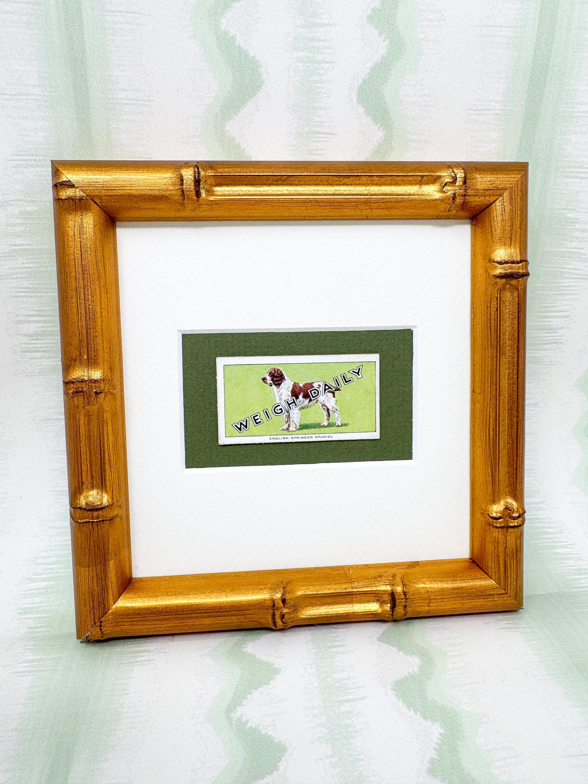 Framed Dog Antique Cigarette Card, English Springer Spaniel