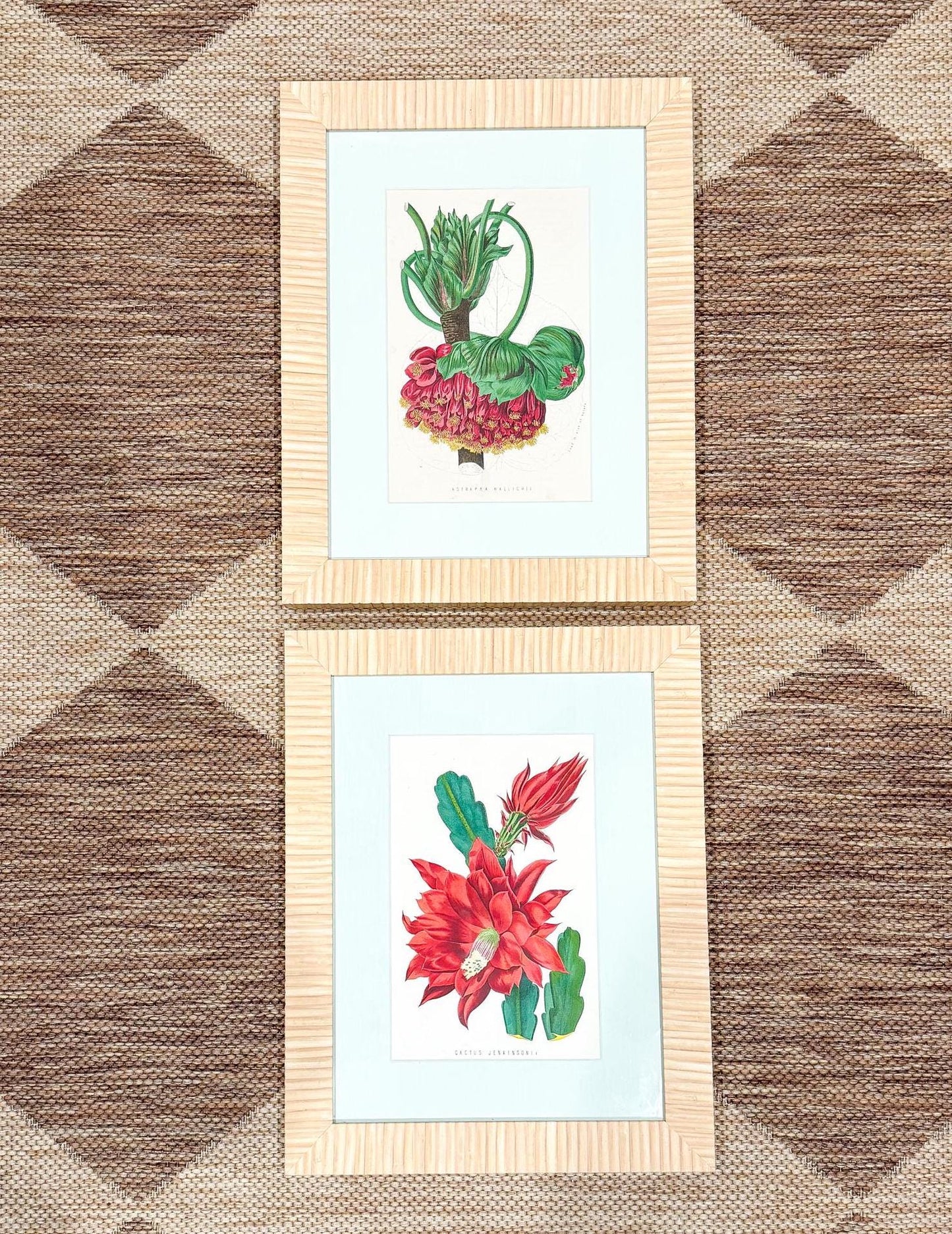 Framed Antique Flower Prints by James Ridgway c. 1800s, Set of 2