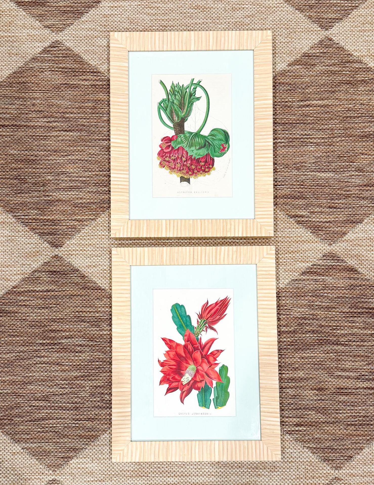 Framed Antique Flower Prints by James Ridgway c. 1800s, Set of 2