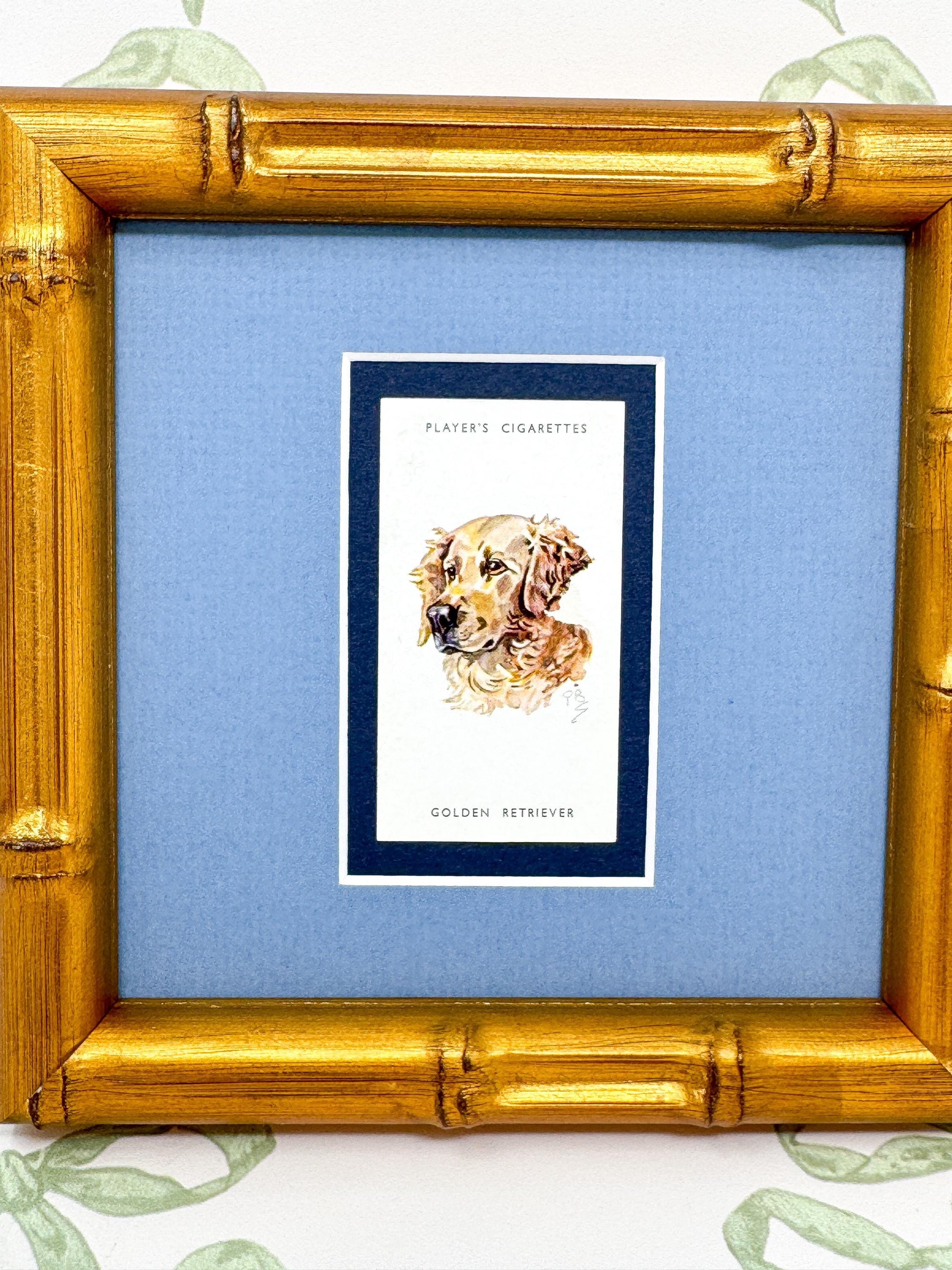 Framed Dog Antique Cigarette Card, Golden Retriever