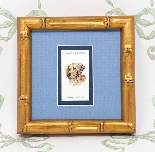 Framed Dog Antique Cigarette Card, Golden Retriever