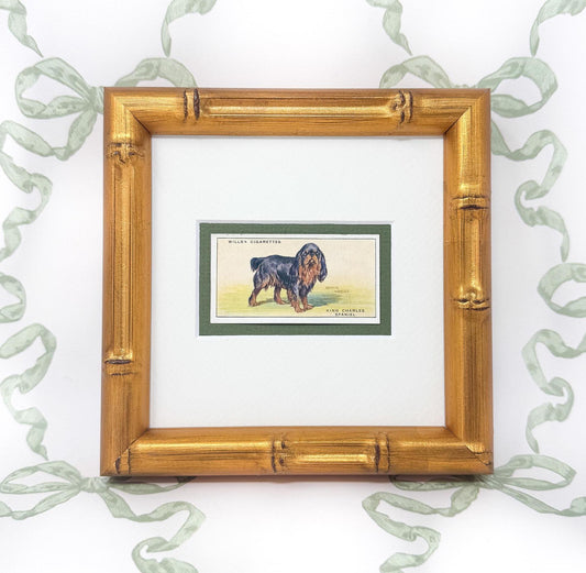 Framed Antique Dog Cigarette Card c. 1937, King Charles Cavalier Spaniel