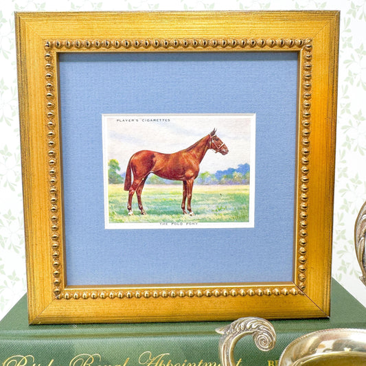 Framed Antique Horse Cigarette Card c. 1939, Polo Pony
