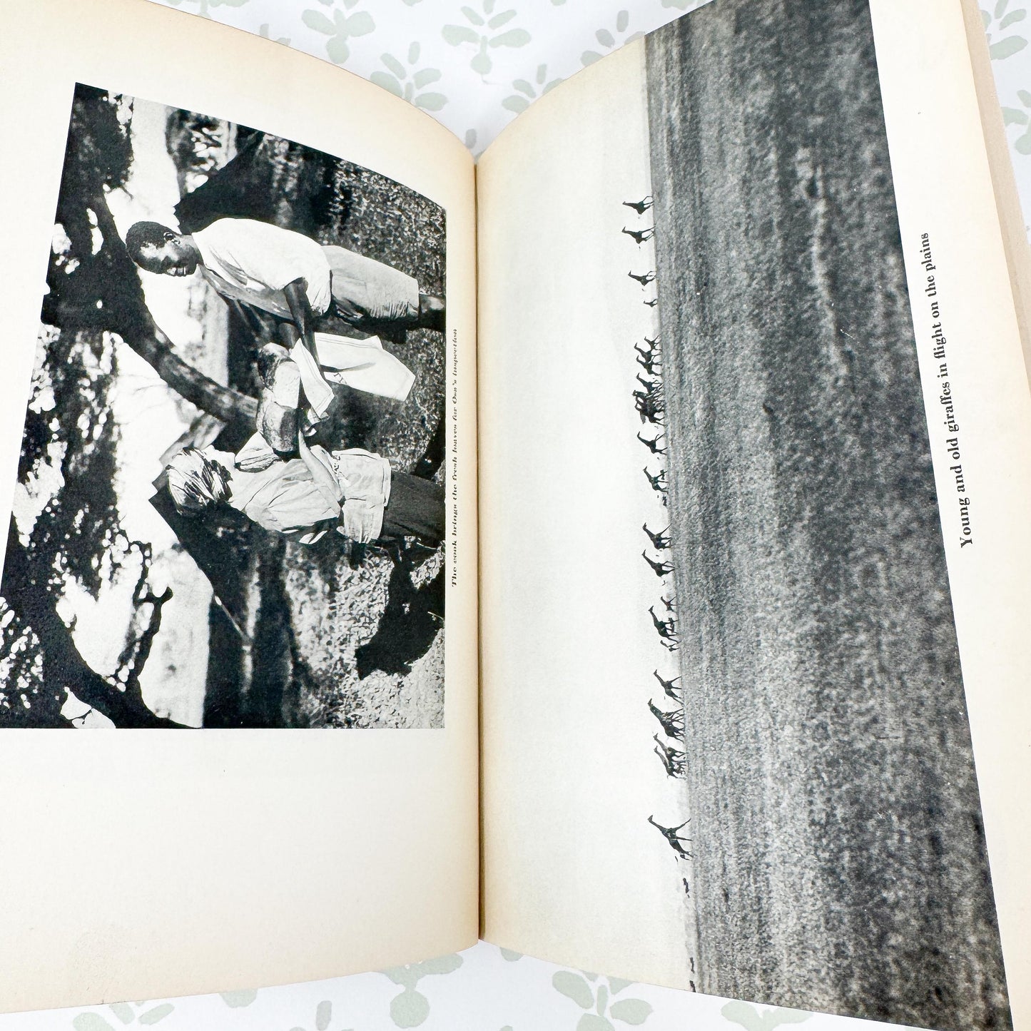 I Married Adventure by Osa Johnson, 1940 First Edition
