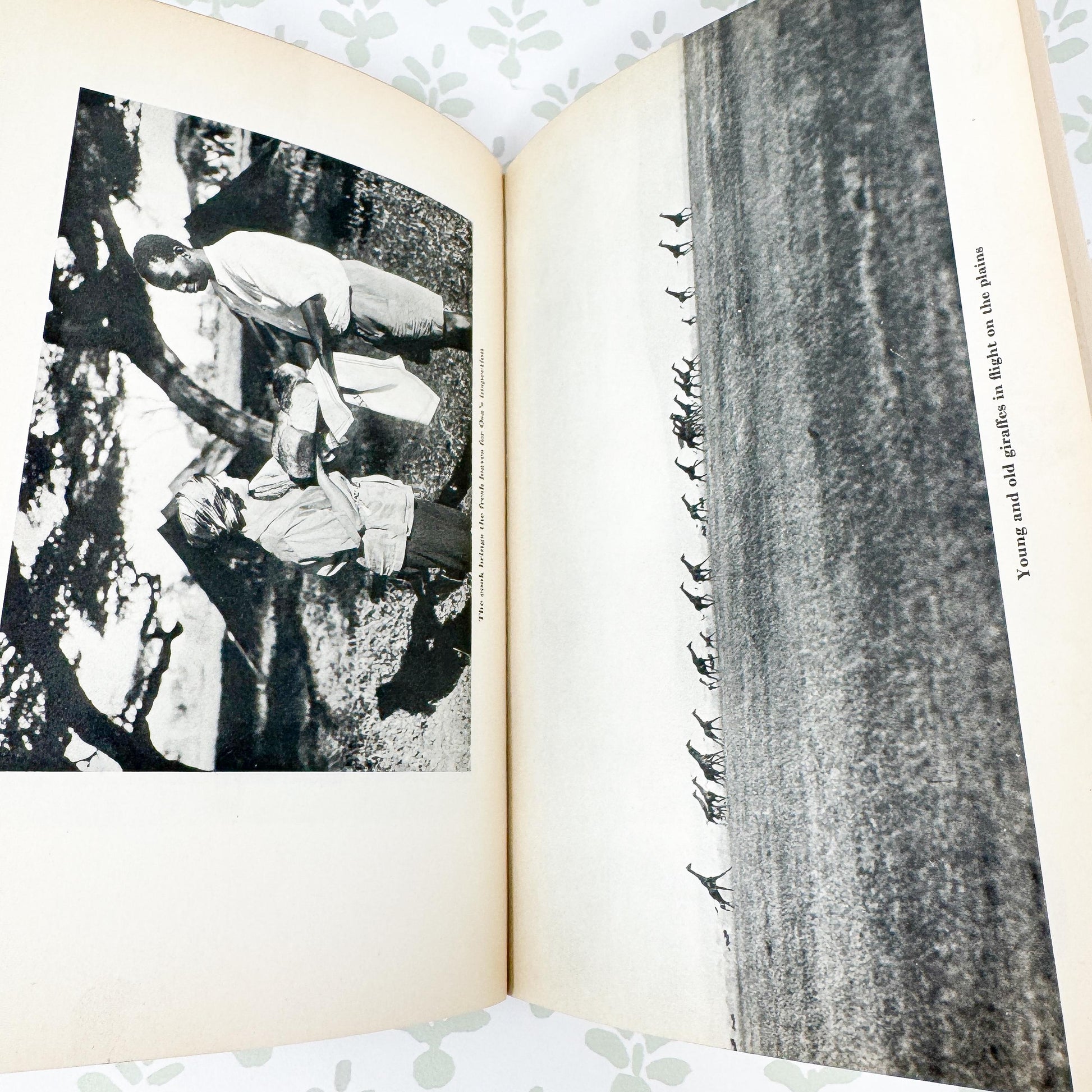 I Married Adventure by Osa Johnson, 1940 First Edition