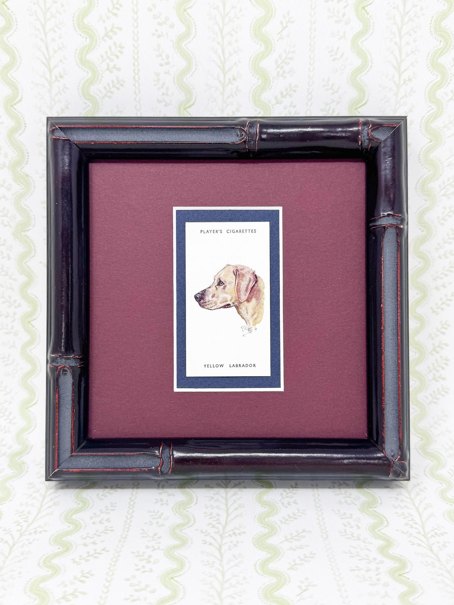Framed Dog Antique Cigarette Card c. 1929, Yellow Labrador Retriever