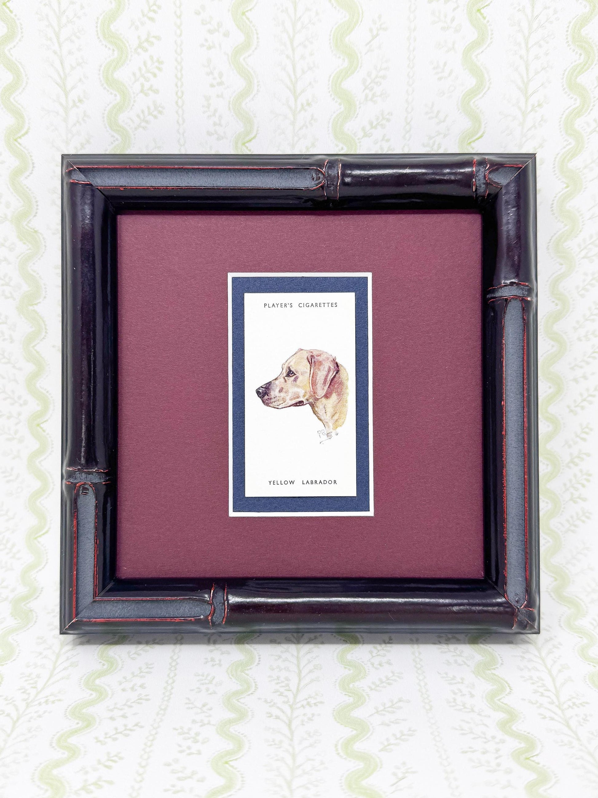 Framed Dog Antique Cigarette Card c. 1929, Yellow Labrador Retriever