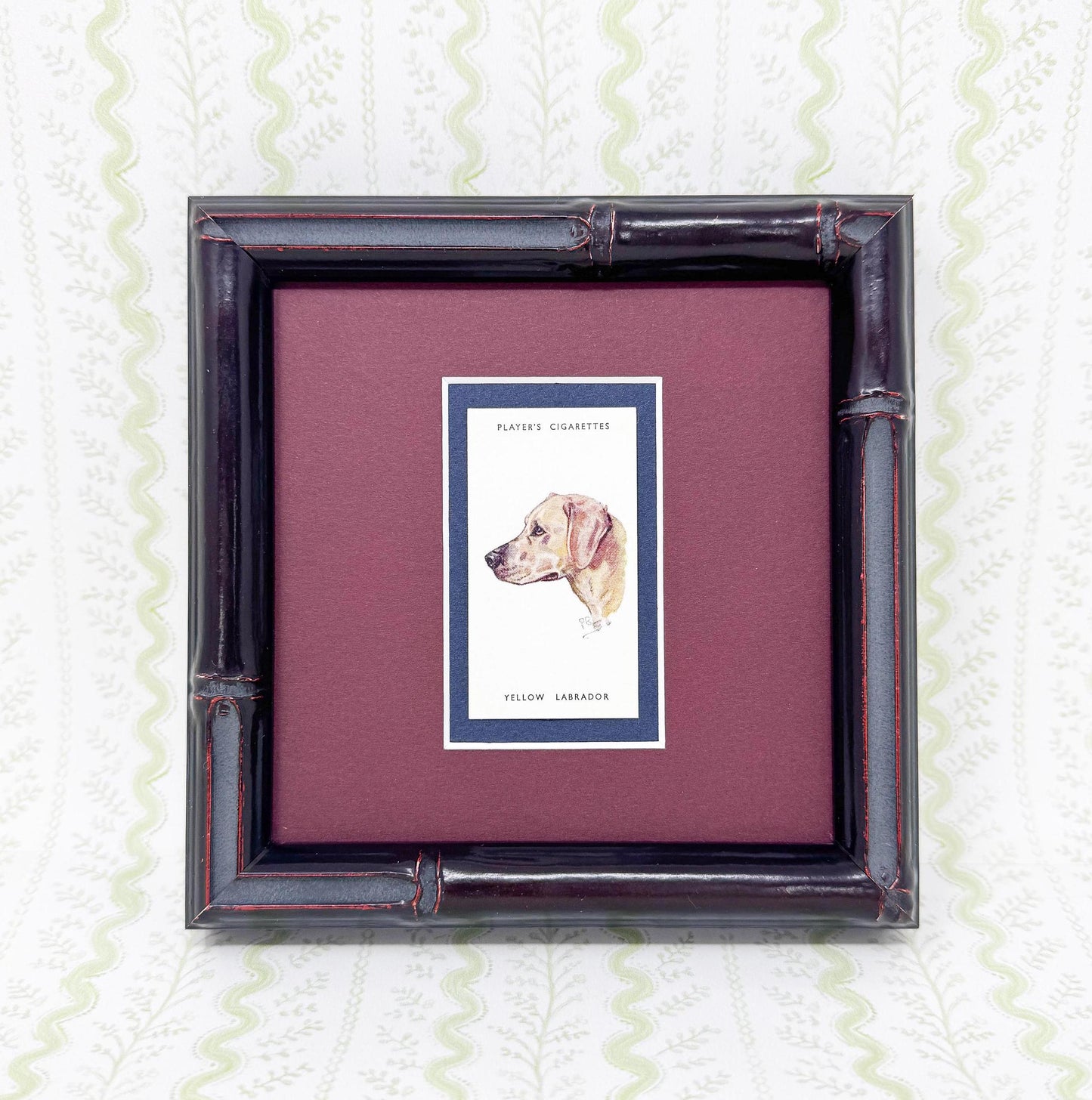 Framed Dog Antique Cigarette Card c. 1929, Yellow Labrador Retriever