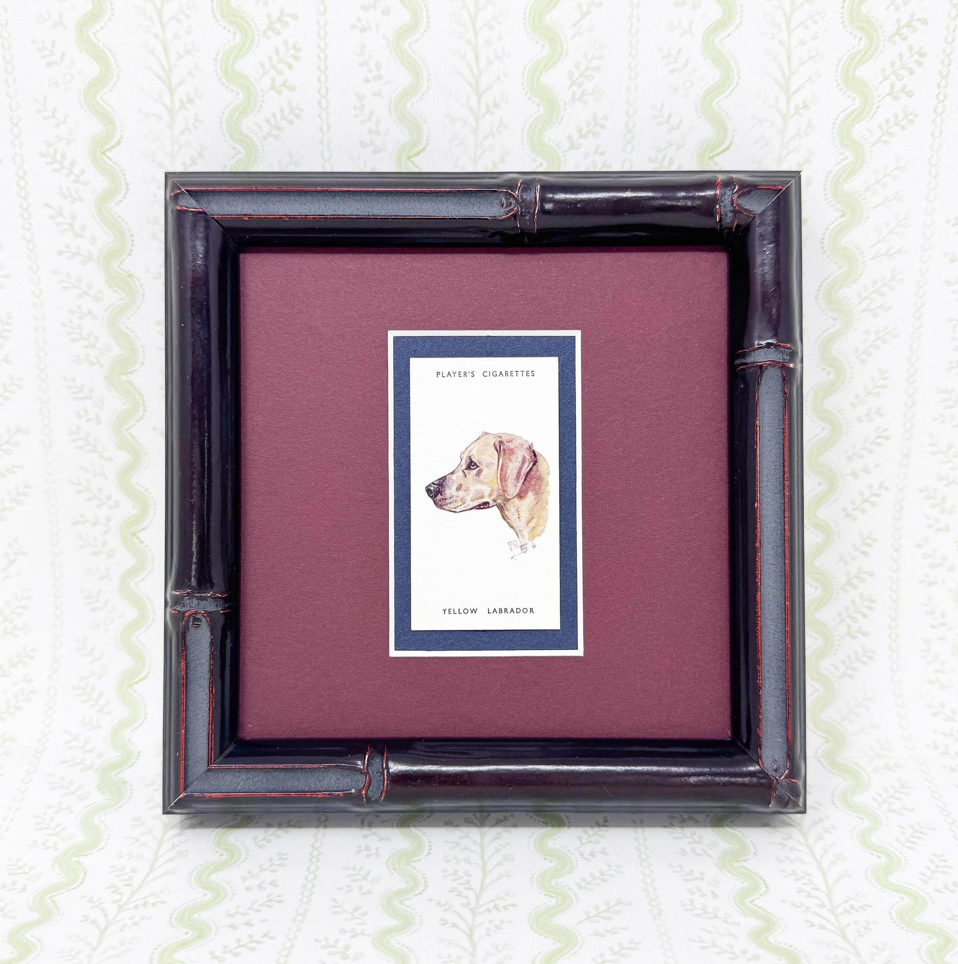 Framed Dog Antique Cigarette Card c. 1929, Yellow Labrador Retriever