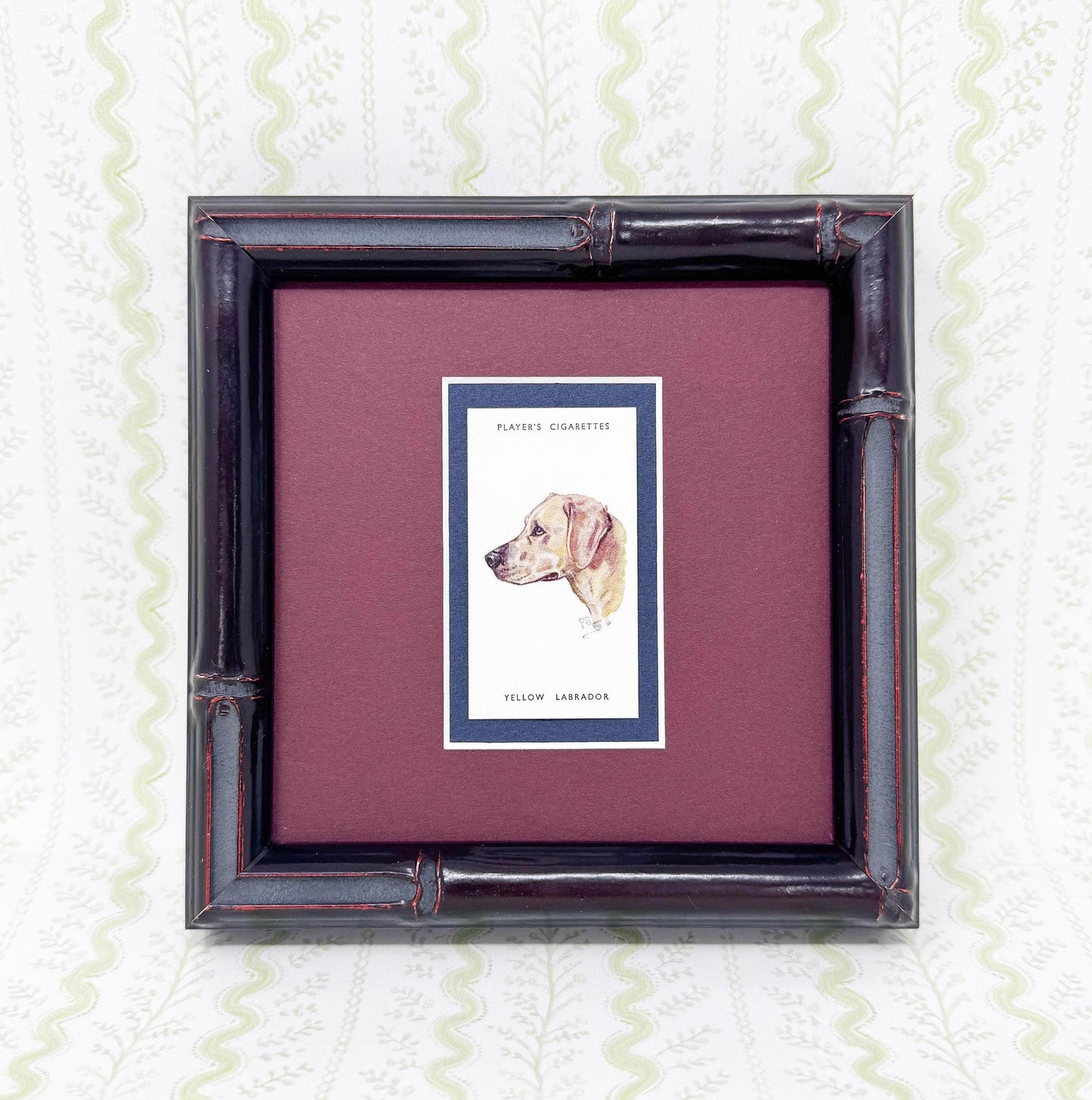 Framed Dog Antique Cigarette Card c. 1929, Yellow Labrador Retriever