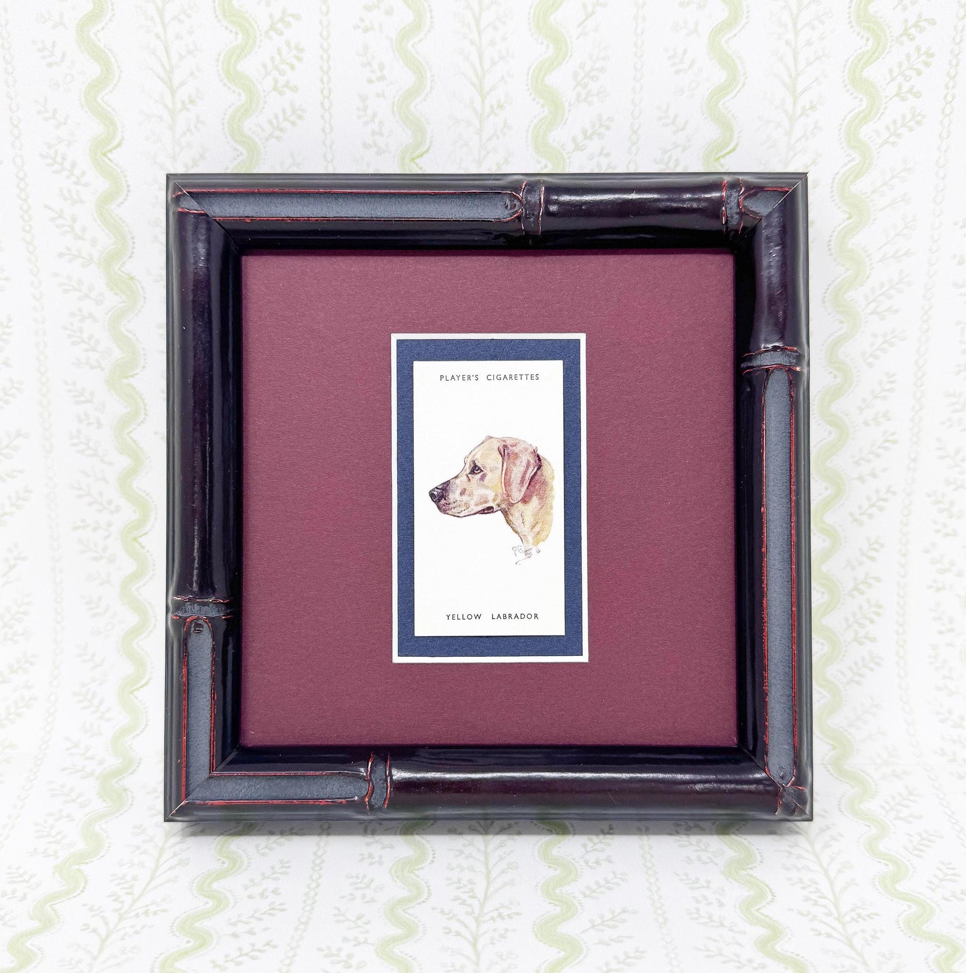 Framed Dog Antique Cigarette Card c. 1929, Yellow Labrador Retriever