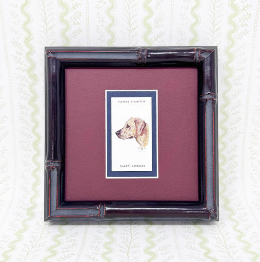 Framed Dog Antique Cigarette Card c. 1929, Yellow Labrador Retriever