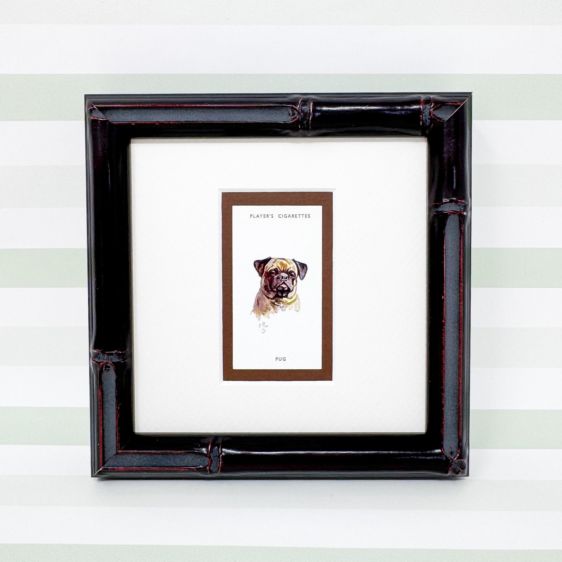 Framed Antique Dog Cigarette Card c. 1929, Pug