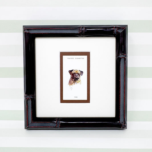 Framed Antique Dog Cigarette Card c. 1929, Pug