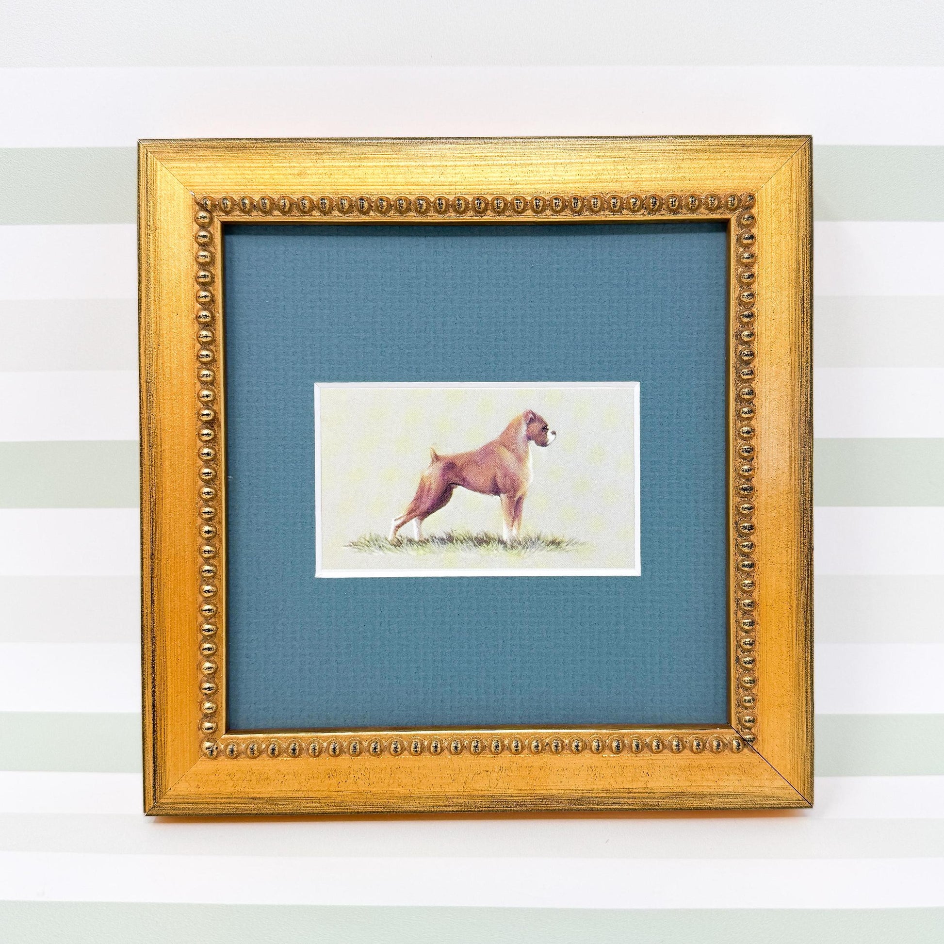 Framed Dog Vintage Cigarette Card c. 1971, Boxer