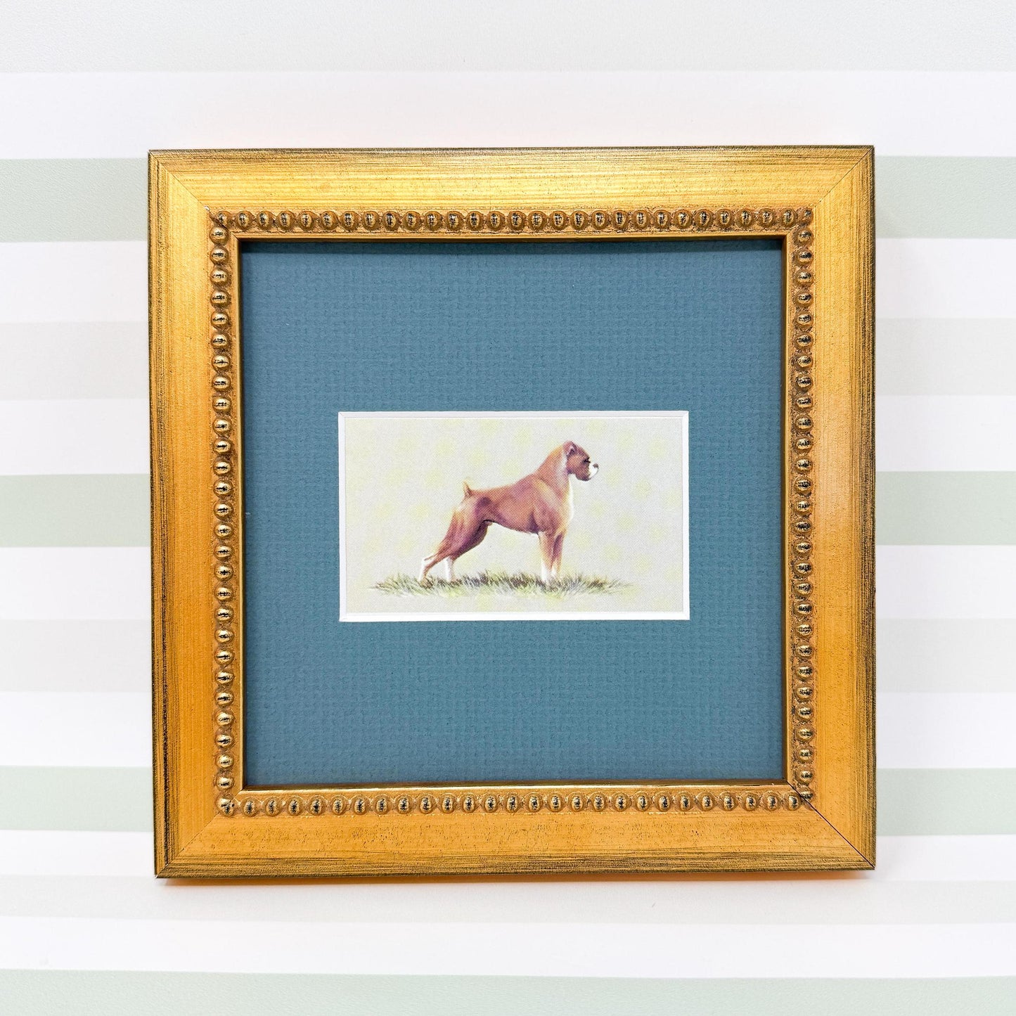 Framed Dog Vintage Cigarette Card c. 1971, Boxer