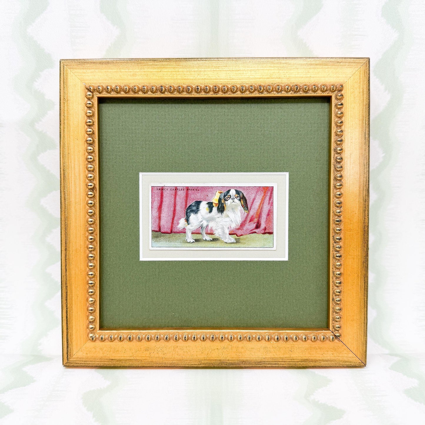Framed Antique Dog Cigarette Card c. 1924, King Charles Cavalier Spaniel