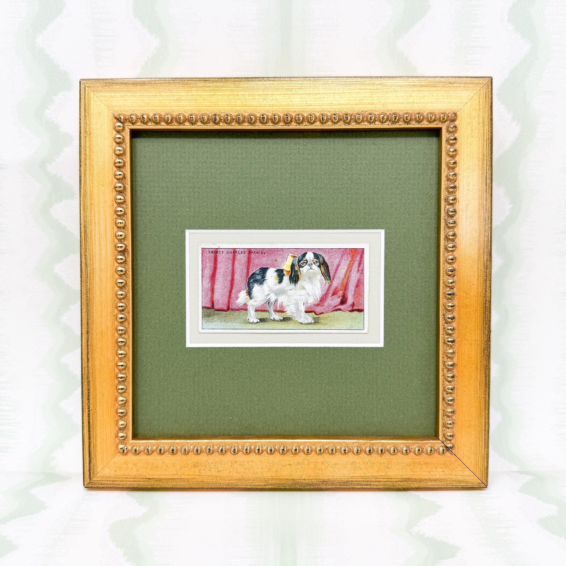 Framed Antique Dog Cigarette Card c. 1924, King Charles Cavalier Spaniel