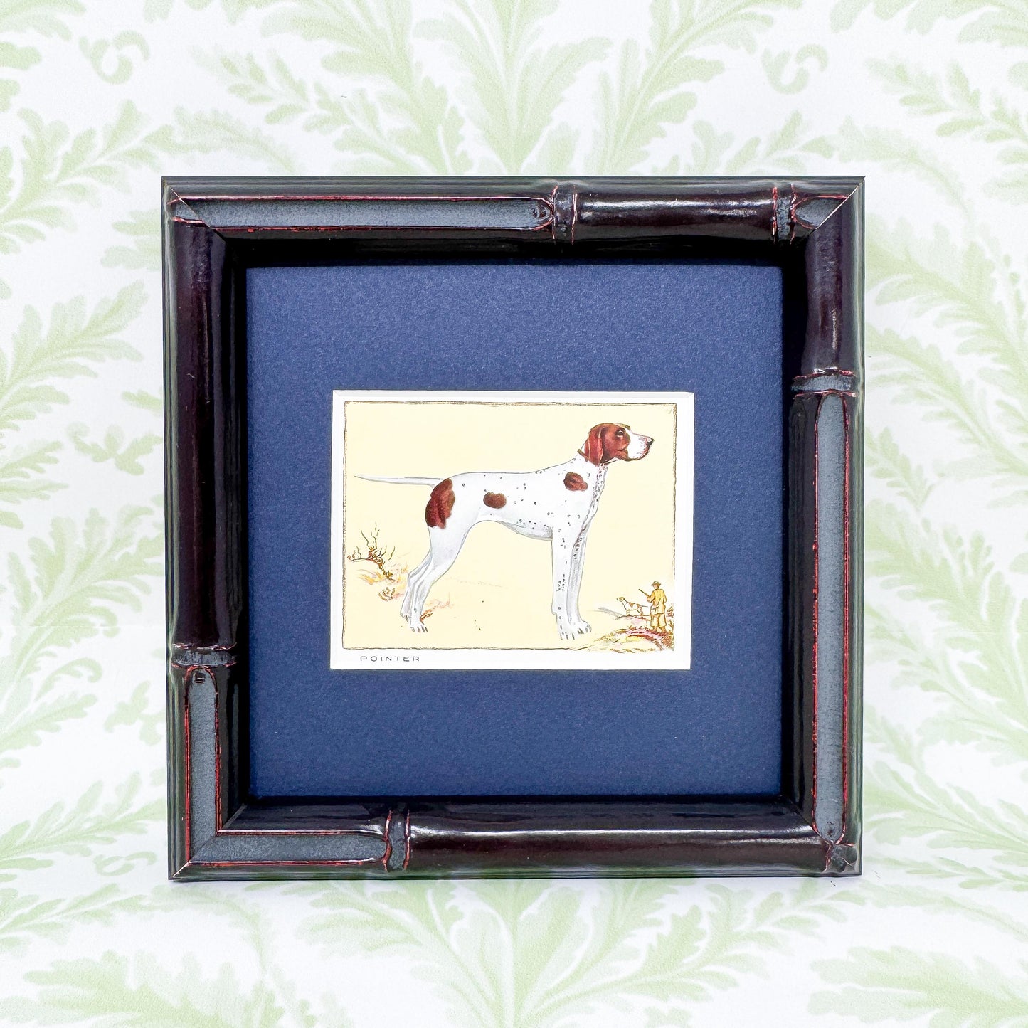 Framed Antique Dog Cigarette Card c. 1934, Pointer