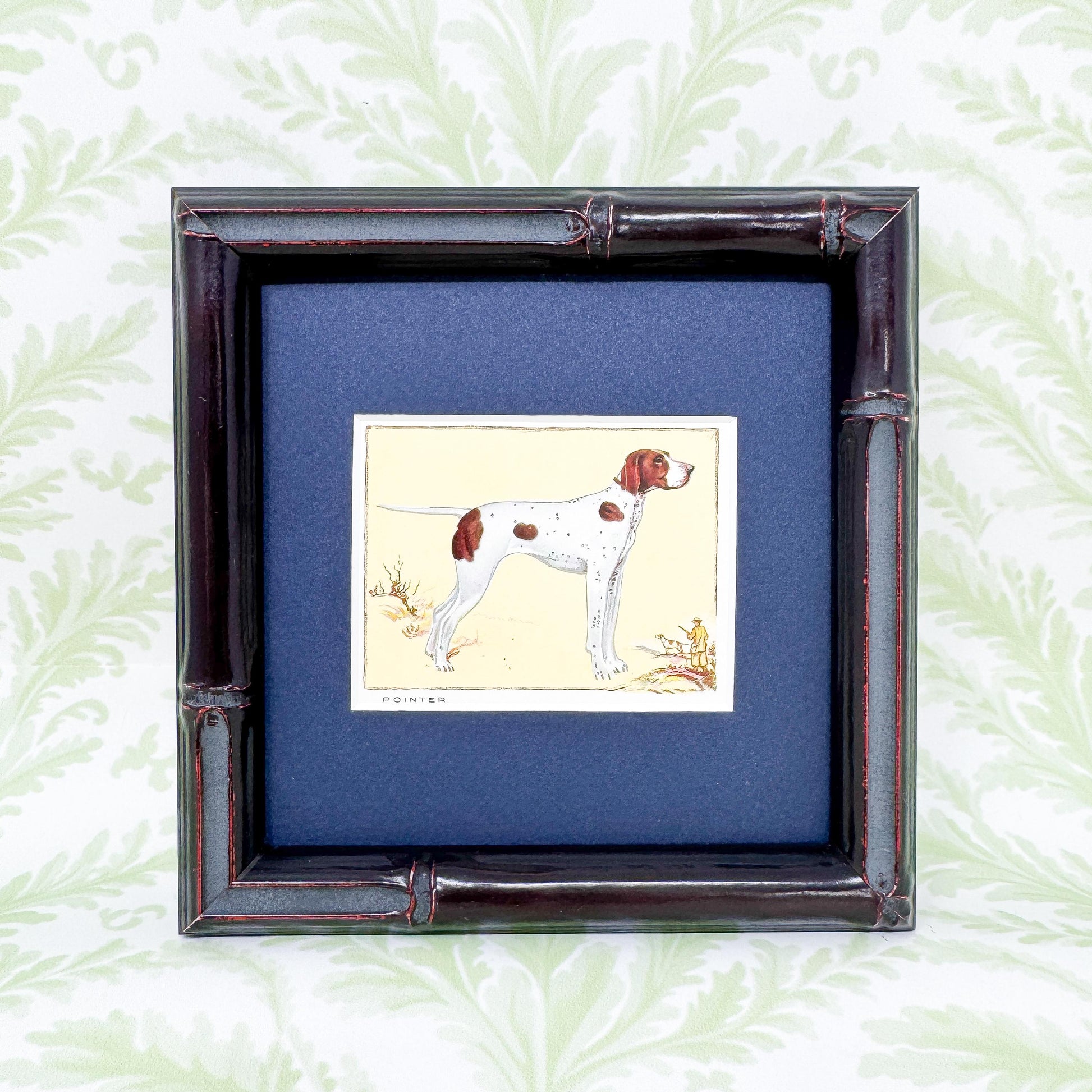 Framed Antique Dog Cigarette Card c. 1934, Pointer