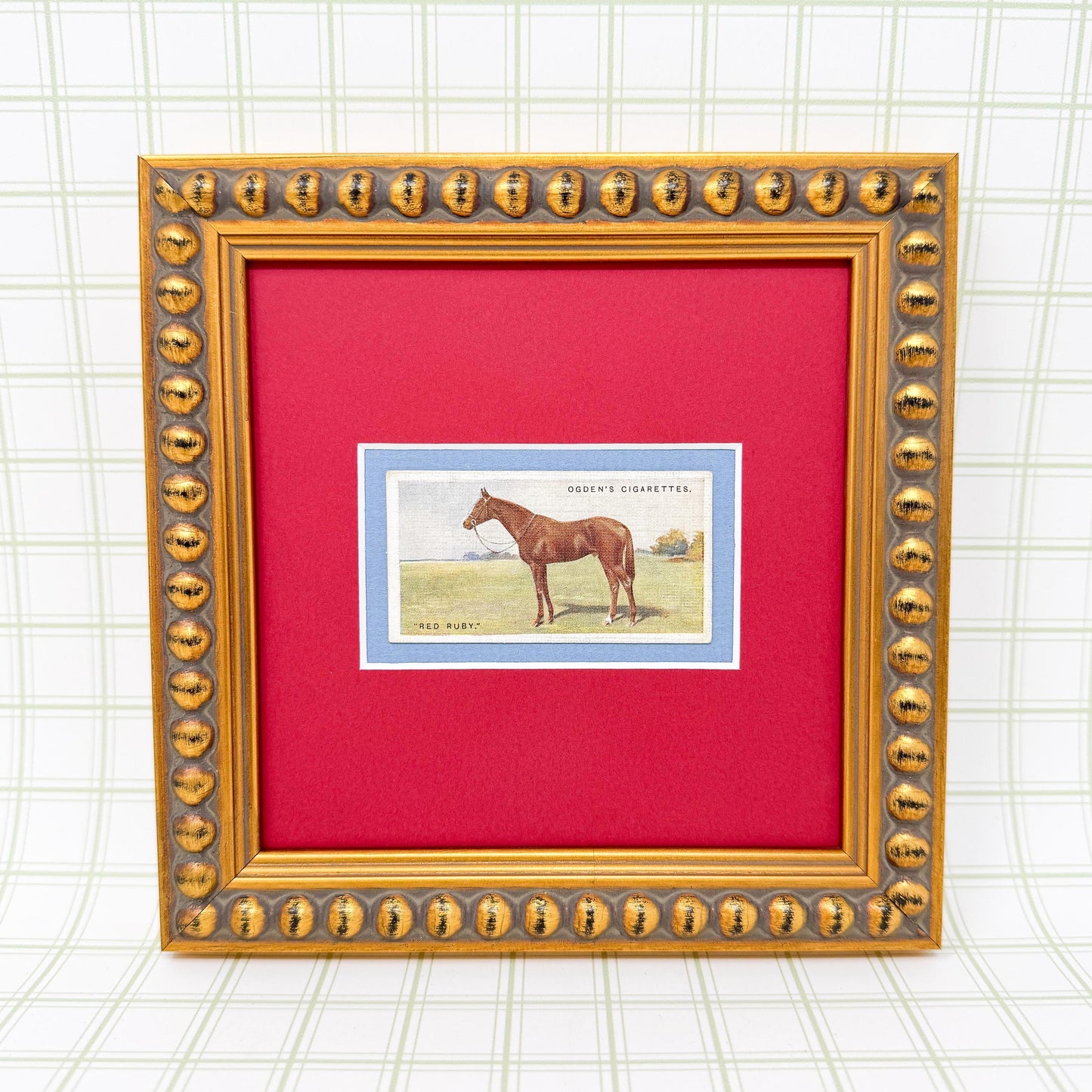 Framed Antique Race Horse Derby Cigarette Card c. 1928, Red Ruby