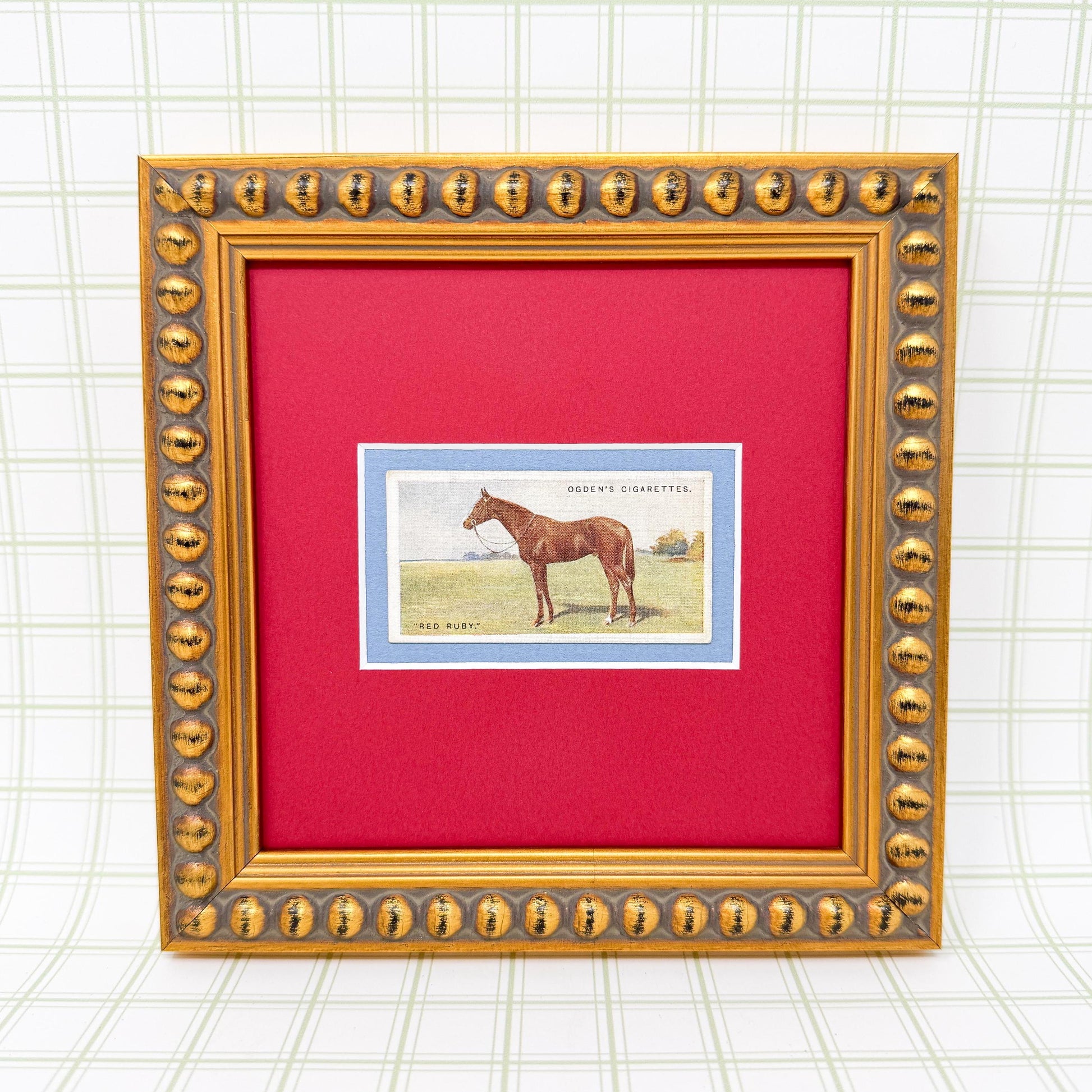 Framed Antique Race Horse Derby Cigarette Card c. 1928, Red Ruby