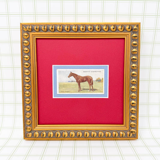 Framed Antique Race Horse Derby Cigarette Card c. 1928, Red Ruby
