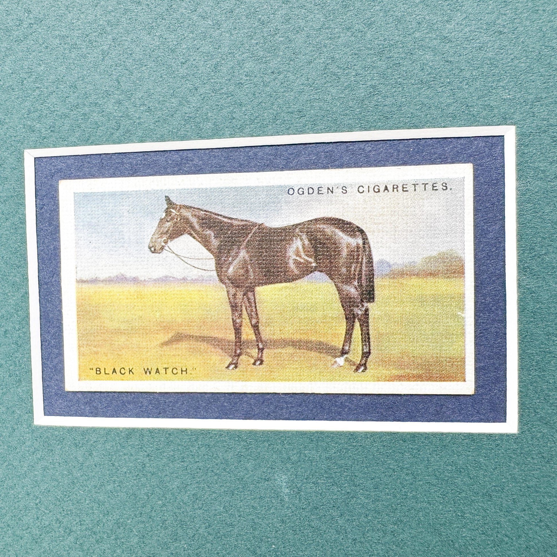 Framed Antique Race Horse Derby Cigarette Card c. 1928, Black Watch