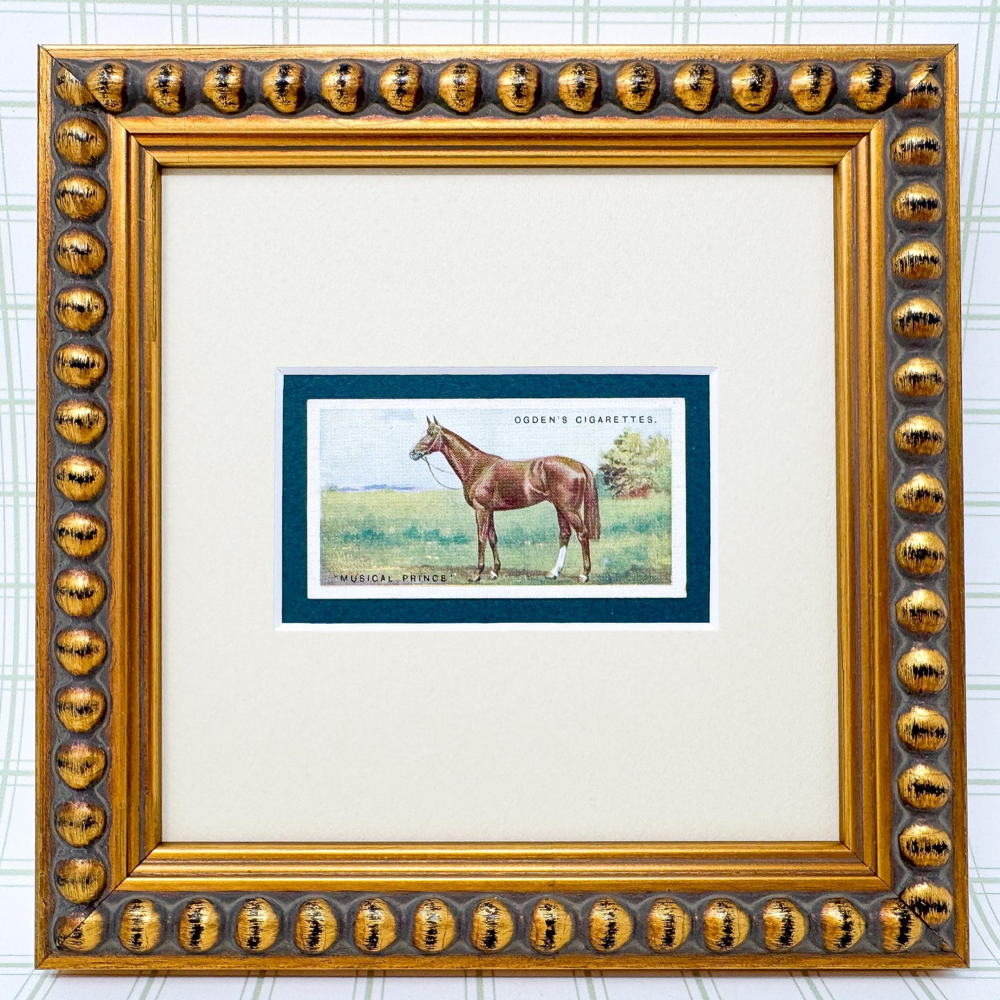 Framed Antique Race Horse Derby Cigarette Card c. 1928, Musical Prince