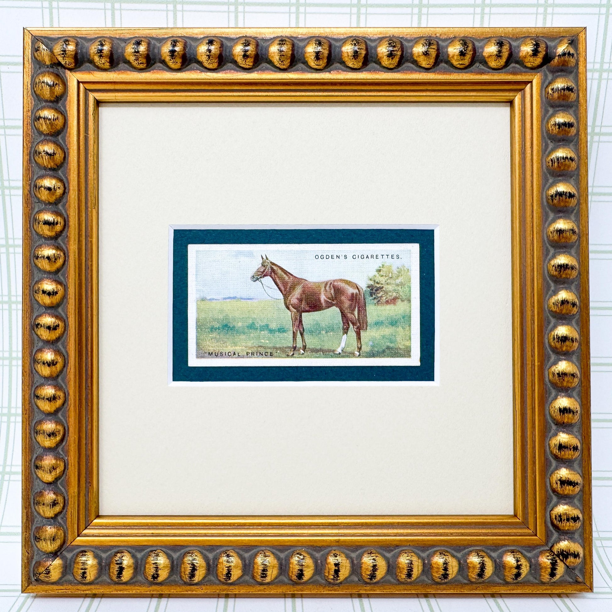 Framed Antique Race Horse Derby Cigarette Card c. 1928, Musical Prince