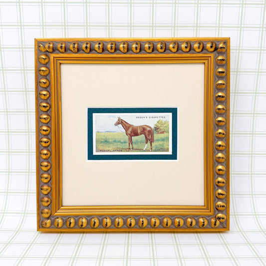 Framed Antique Race Horse Derby Cigarette Card c. 1928, Musical Prince