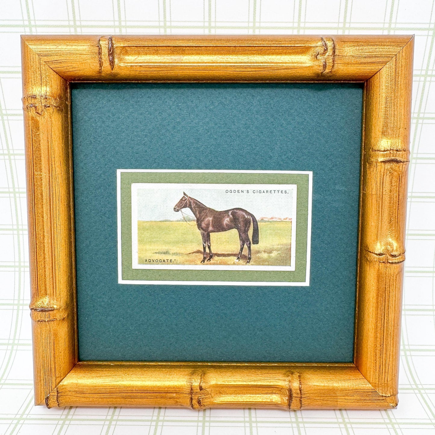 Framed Antique Race Horse Derby Cigarette Card c. 1928, Advocate