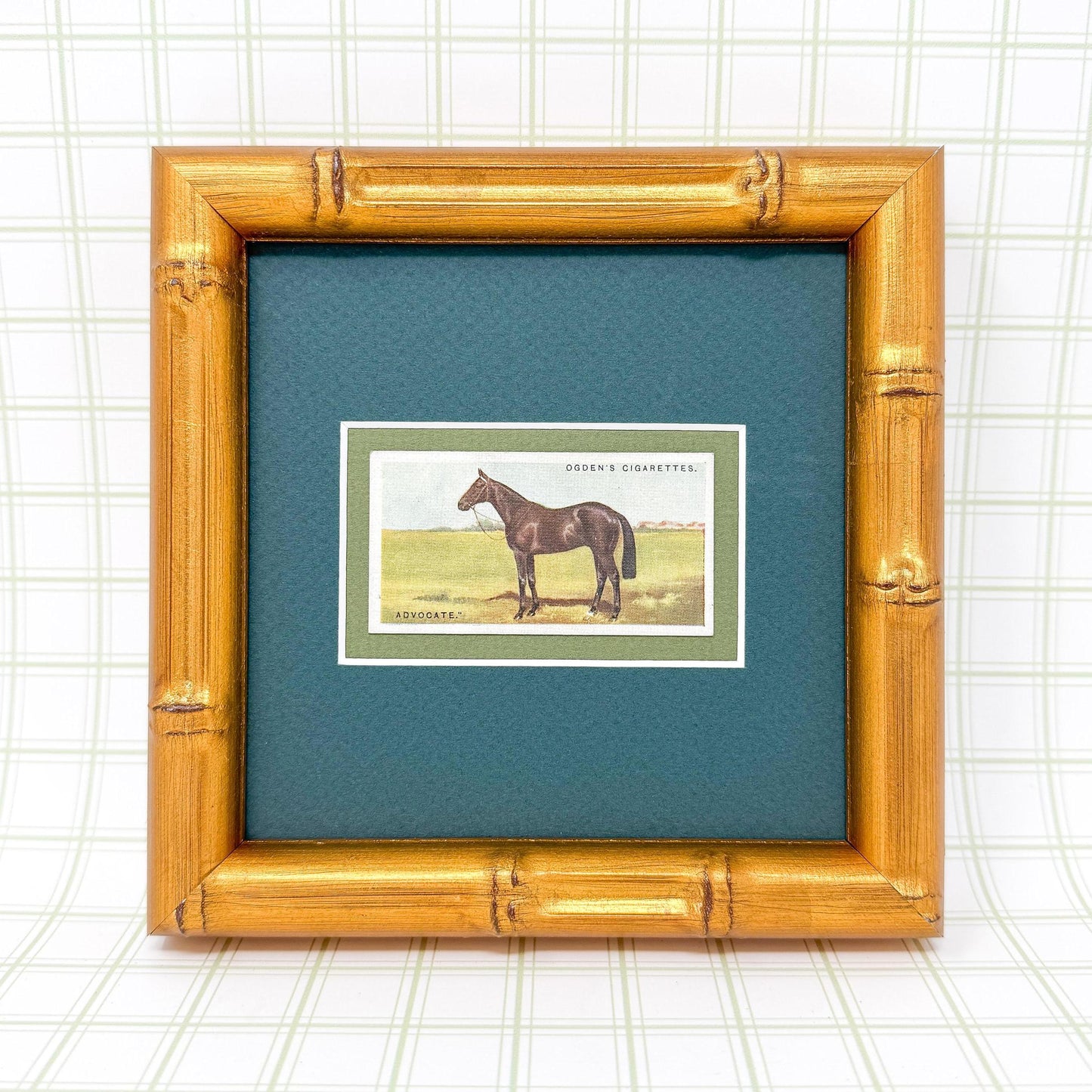 Framed Antique Race Horse Derby Cigarette Card c. 1928, Advocate