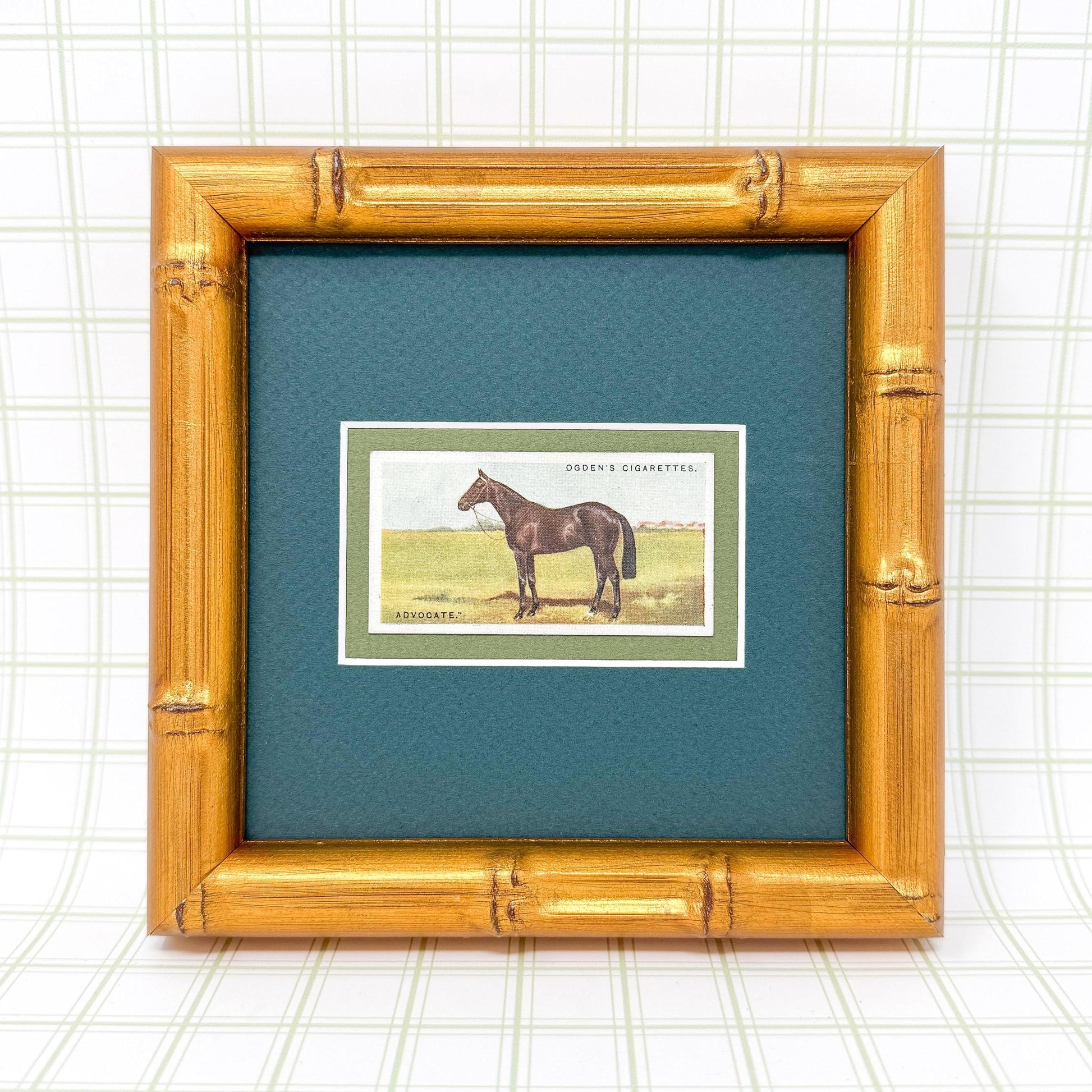Framed Antique Race Horse Derby Cigarette Card c. 1928, Advocate