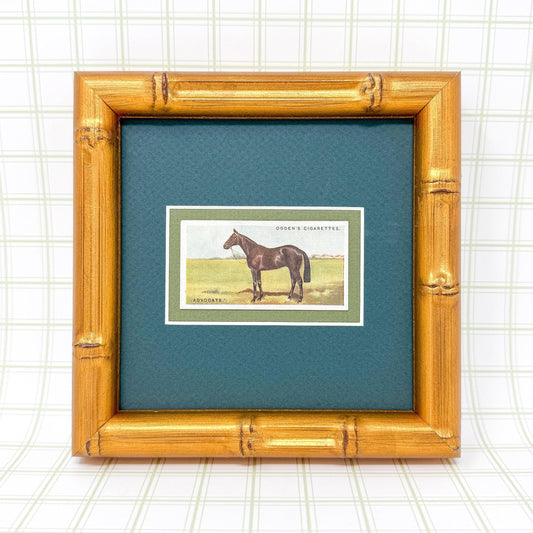 Framed Antique Race Horse Derby Cigarette Card c. 1928, Advocate