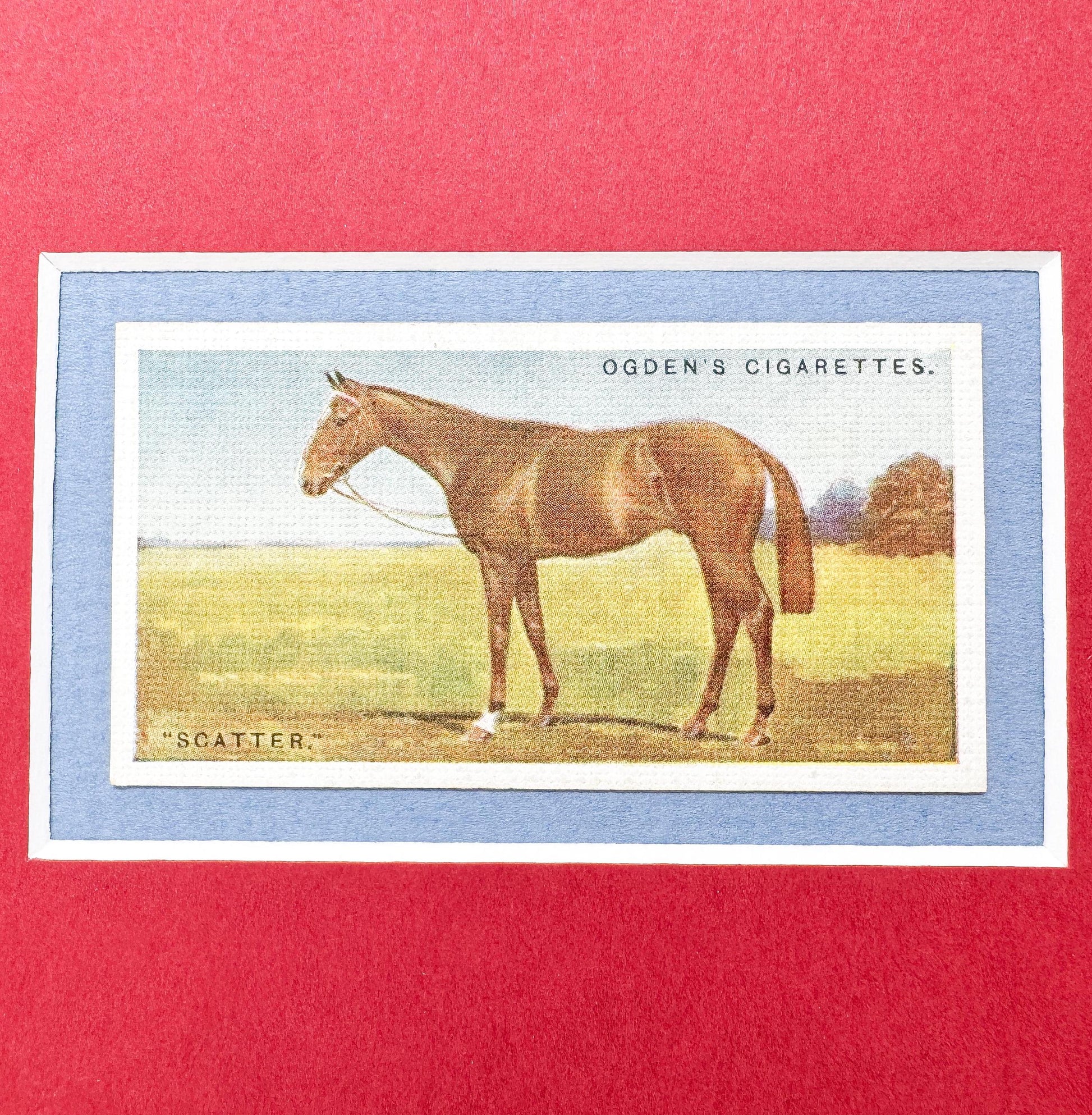 Framed Antique Race Horse Derby Cigarette Card c. 1928, Scatter