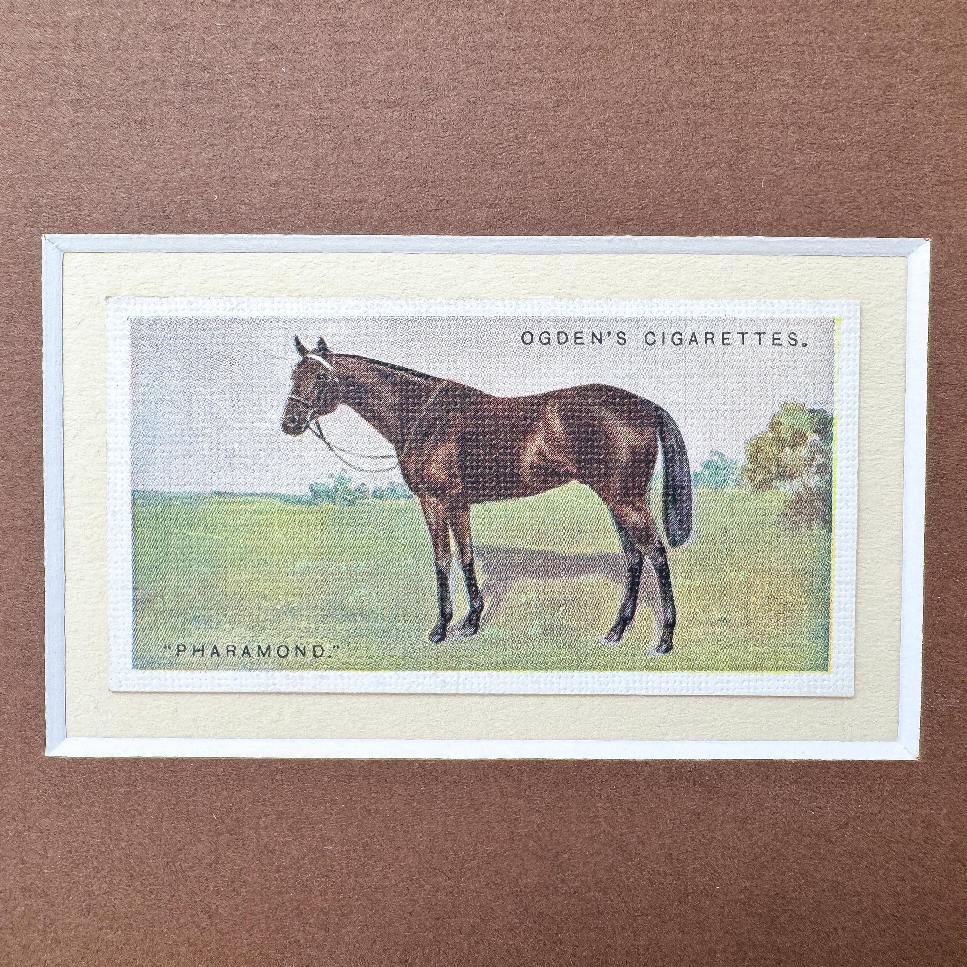 Framed Antique Race Horse Derby Cigarette Card c. 1928, Pharamond