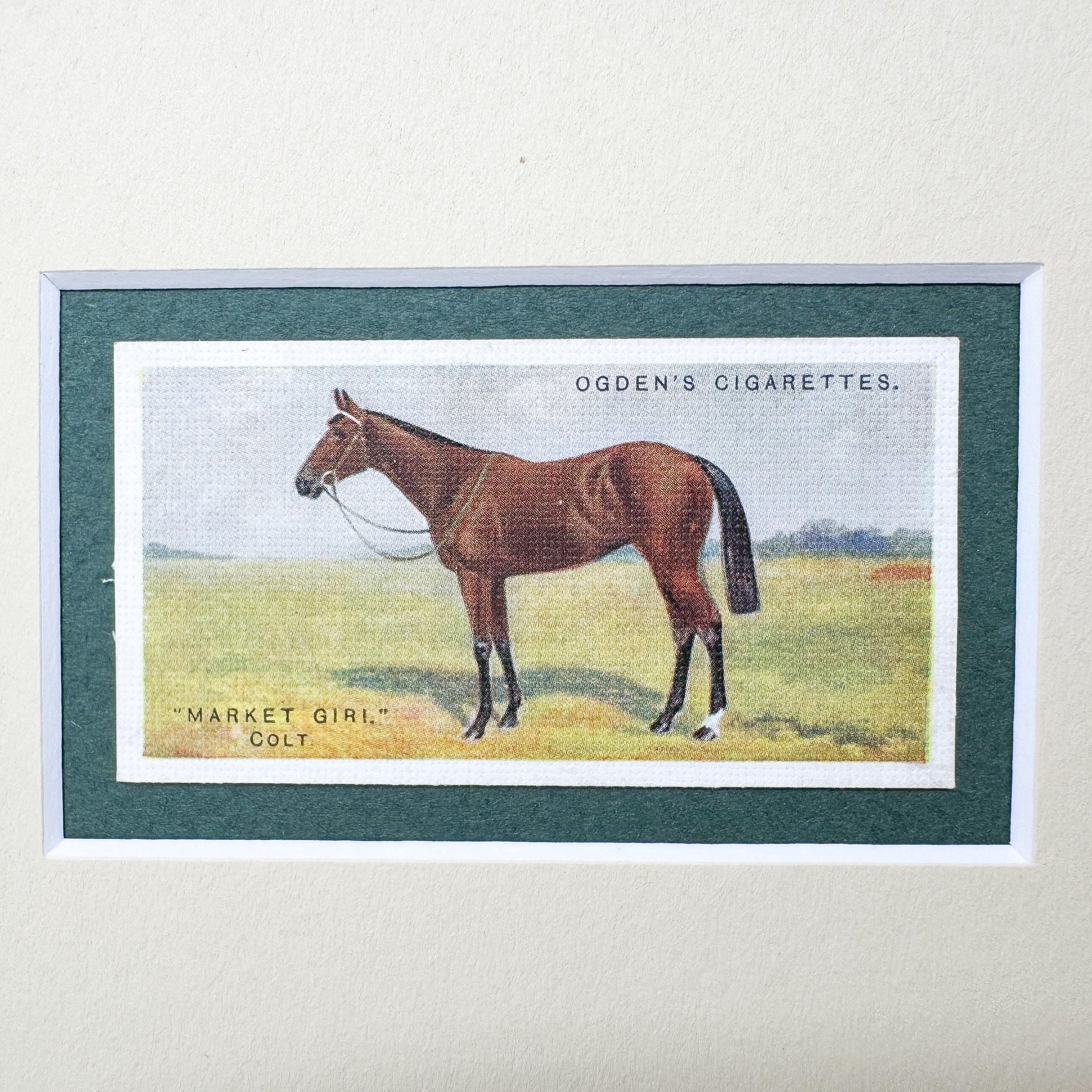 Framed Antique Race Horse Derby Cigarette Card c. 1928, Market Giri. Colt