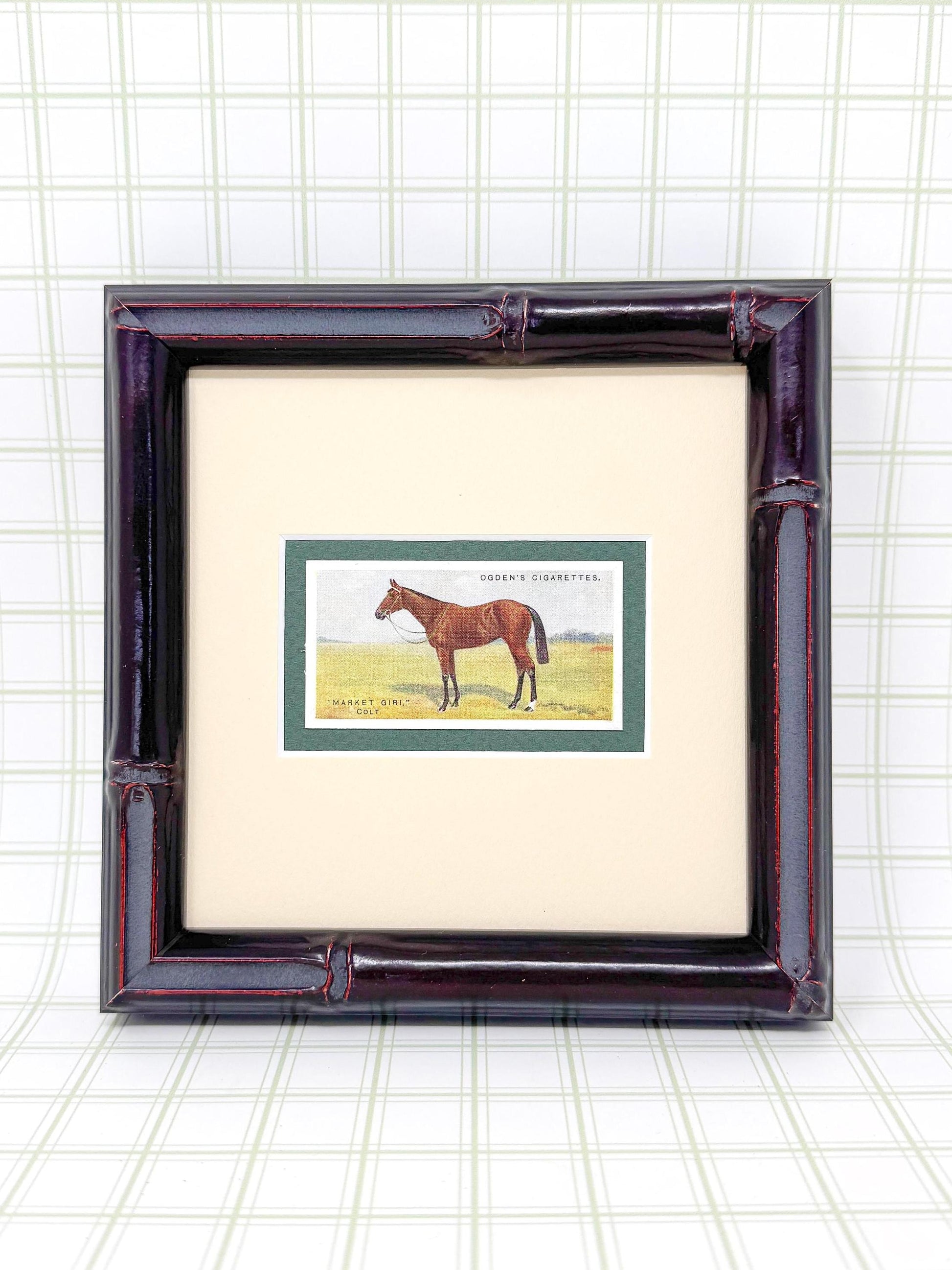 Framed Antique Race Horse Derby Cigarette Card c. 1928, Market Giri. Colt