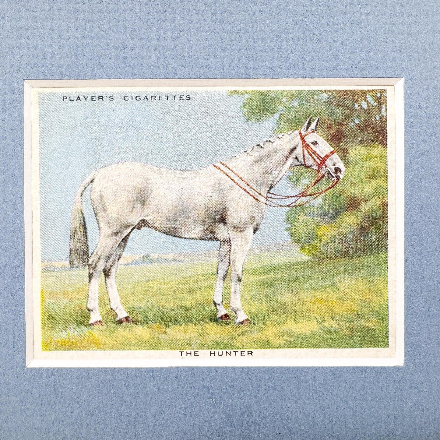 Framed Antique Horse Cigarette Card c. 1939, Hunter