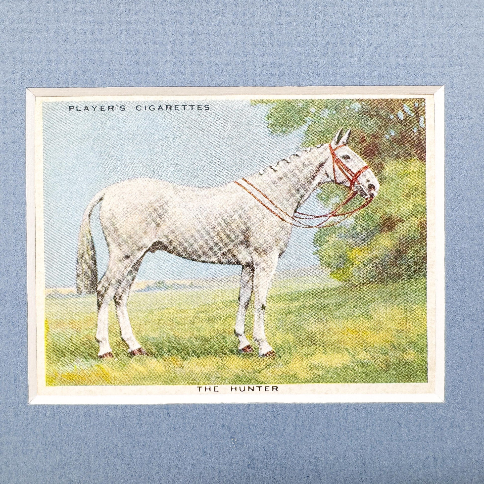 Framed Antique Horse Cigarette Card c. 1939, Hunter