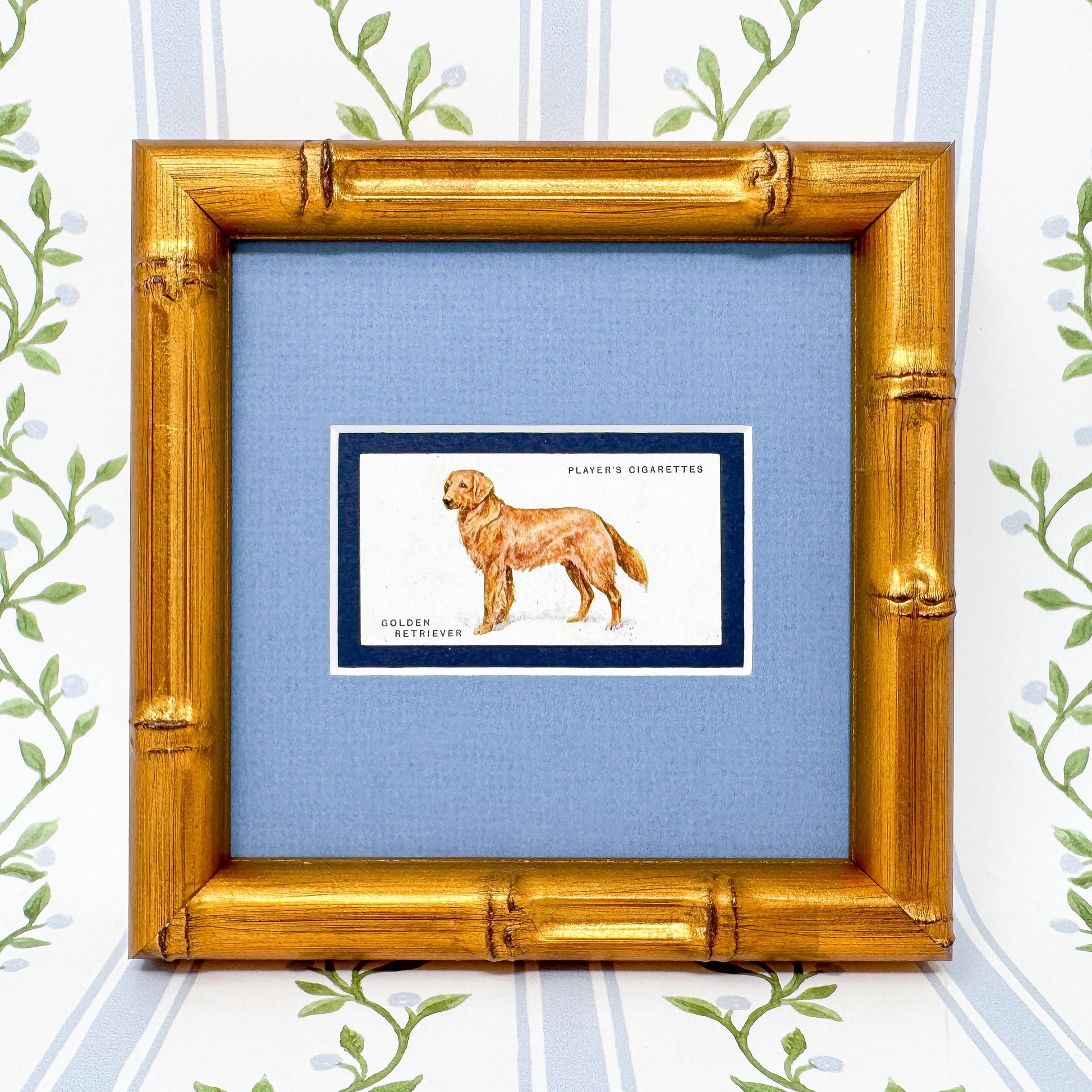 dog cigarette cards 1929 Vintage Dog Cigarette Cards (set