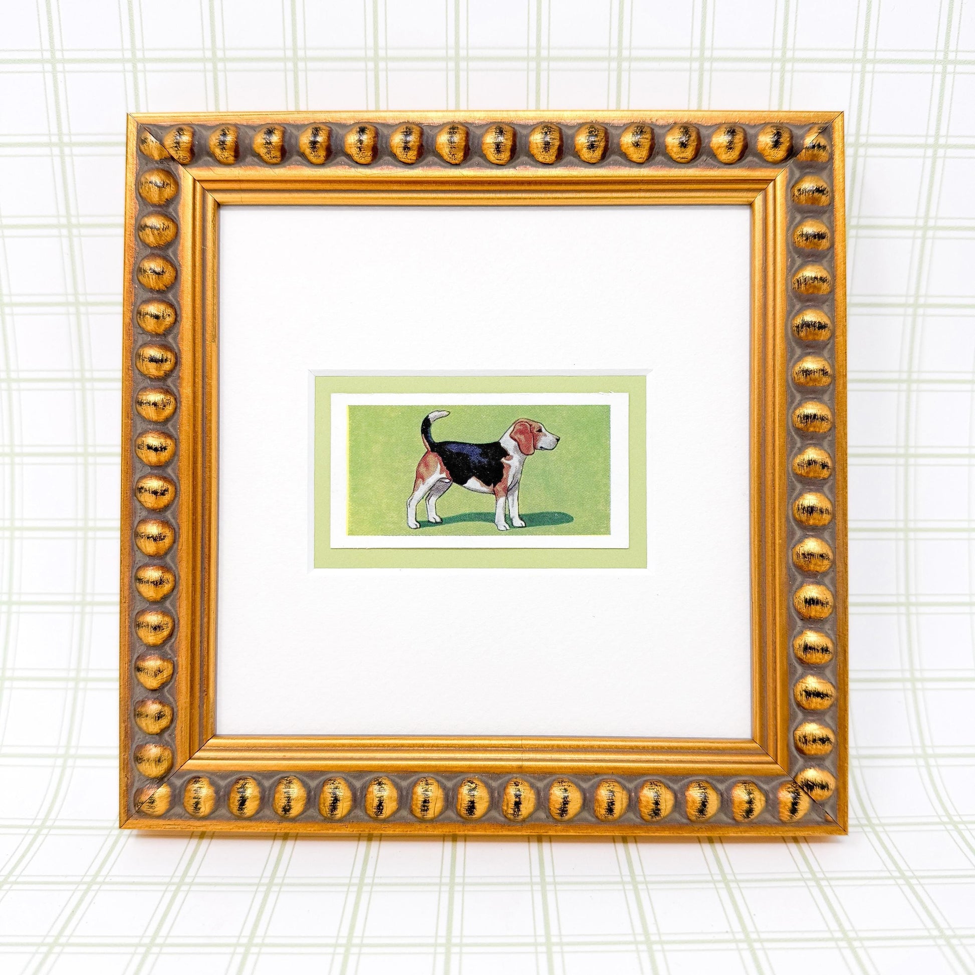 Framed Antique Dog Cigarette Card, Beagle