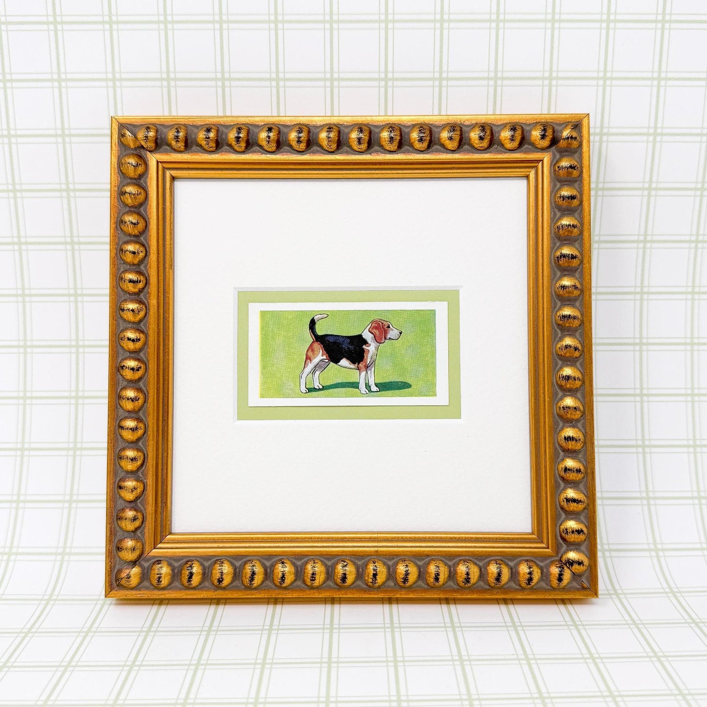 Framed Antique Dog Cigarette Card, Beagle