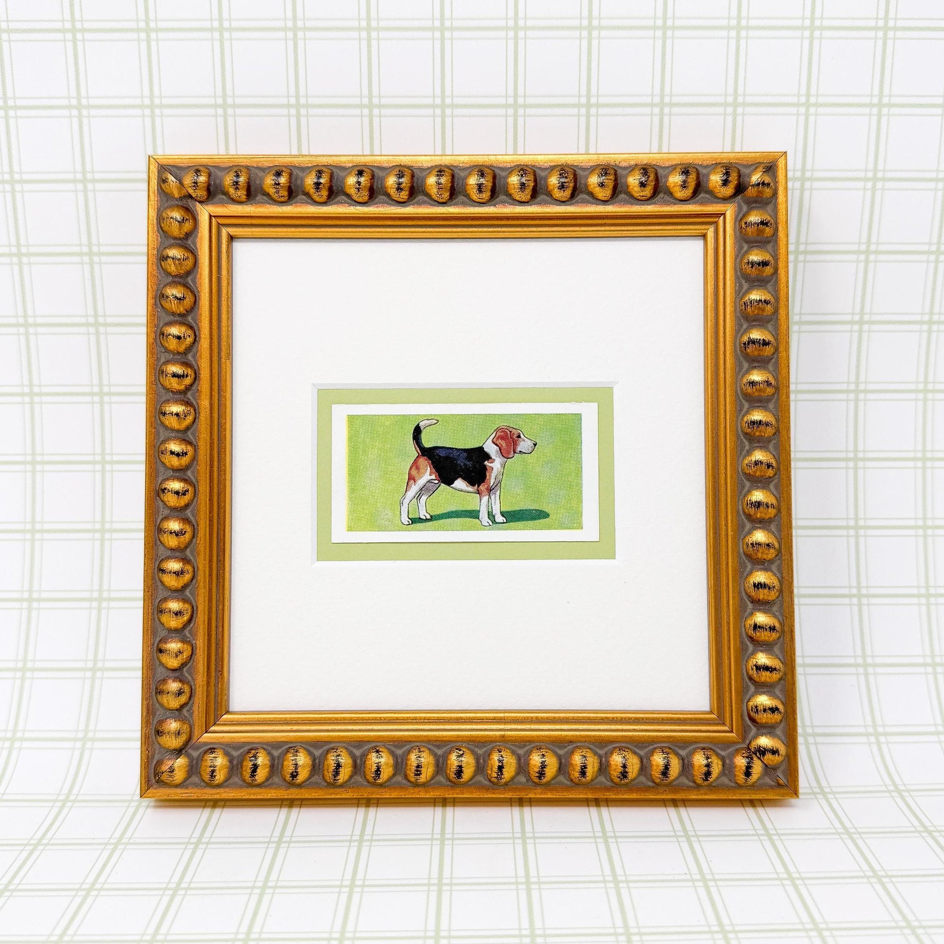Framed Antique Dog Cigarette Card, Beagle