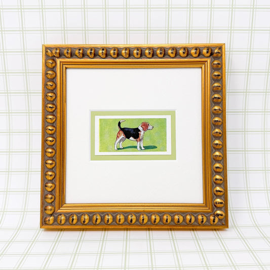 Framed Antique Dog Cigarette Card, Beagle