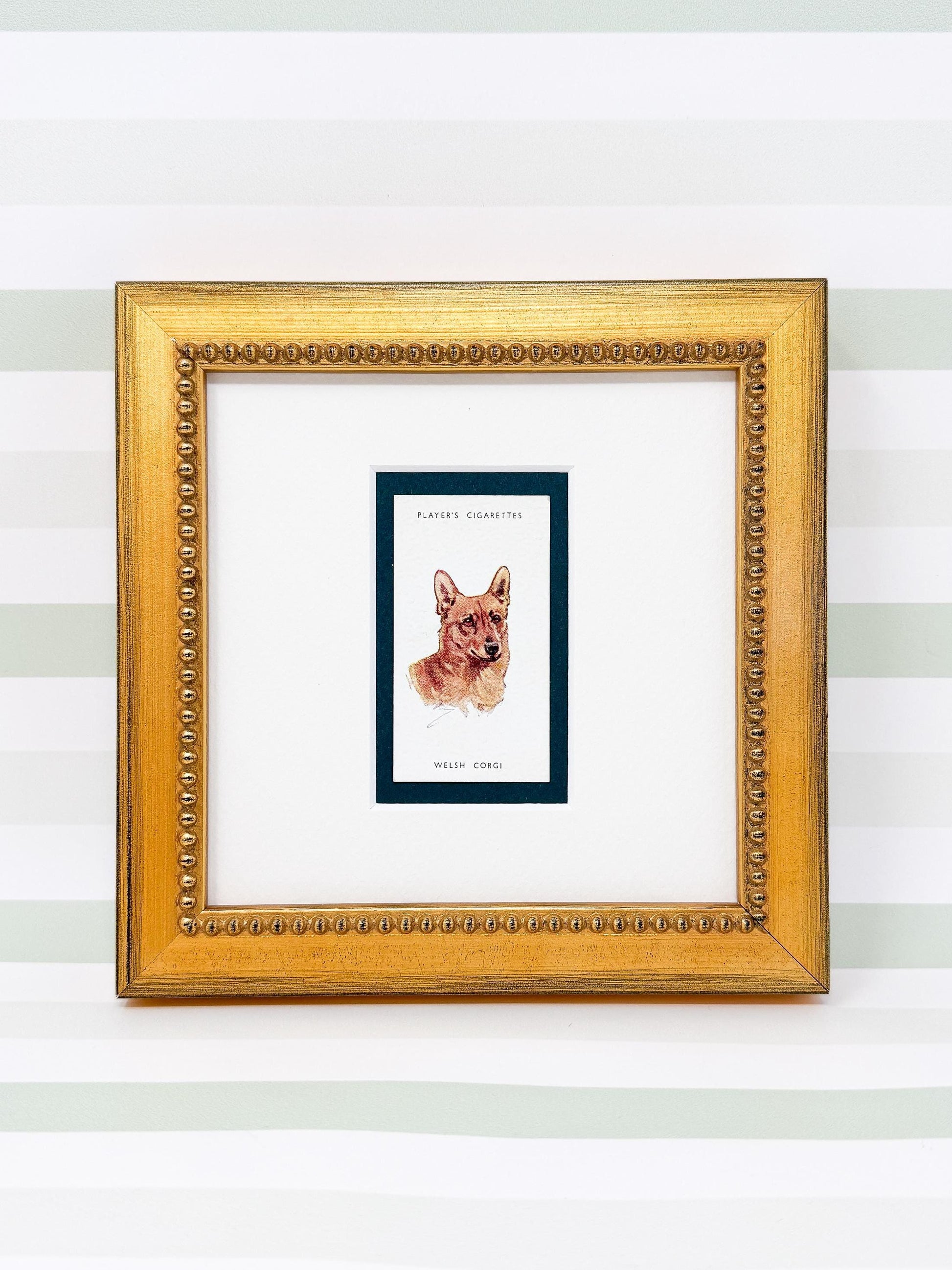 Framed Antique Dog Cigarette Card c. 1929, Welsh Corgi